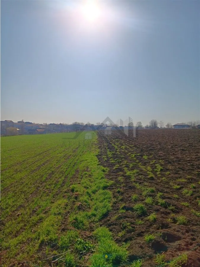 OCAZIE! Vorovesti Teren 83000mp intrav. si extrav. cu utilitati - foto 1
