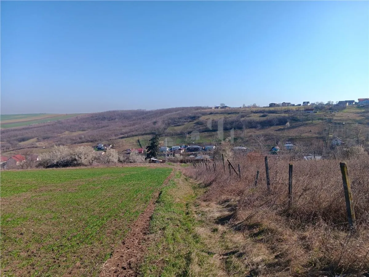 OCAZIE! Vorovesti Teren 83000mp intrav. si extrav. cu utilitati - foto 4