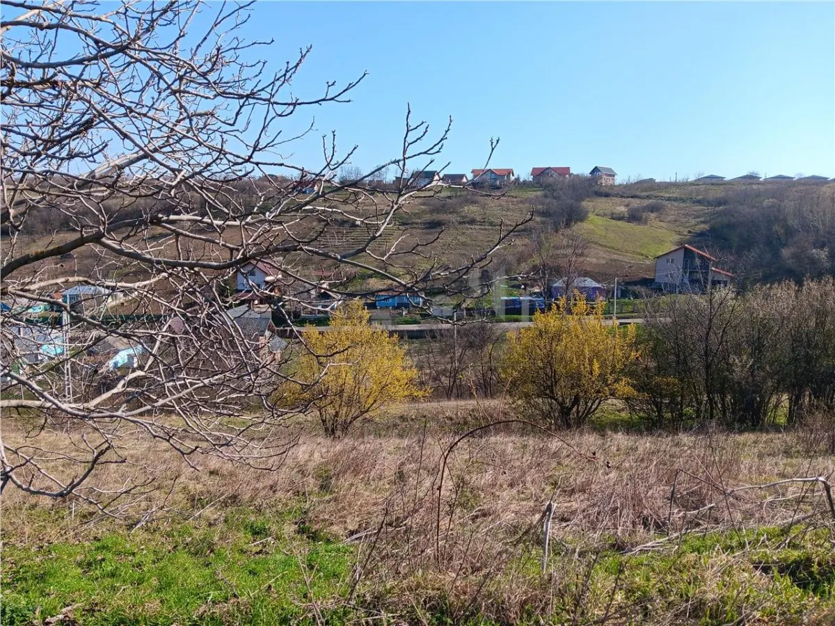 OCAZIE! Vorovesti Teren 83000mp intrav. si extrav. cu utilitati - foto 9