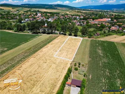FILM! Valea Crisului,2.300mp,in vecinatatea lacului,aproape de Sfantu Gheorghe - Sfantu Gheorghe
