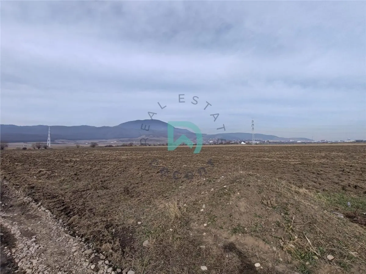 Teren intravilan Industrial, 38800 mp, cu Autorizatie de Construire, Codlea Brasov - foto 9