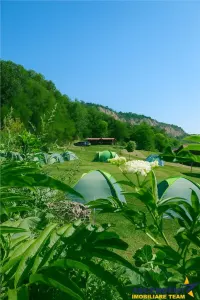 Transilvania Camping, domeniu de 14.400mp,Sanmarghita de Mures:2cladiri, apartamente,potential exceptional - Targu Mures