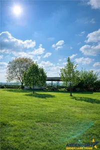 Transilvania Camping, domeniu de 14.400mp,Sanmarghita de Mures:2cladiri, apartamente,potential exceptional - foto 7