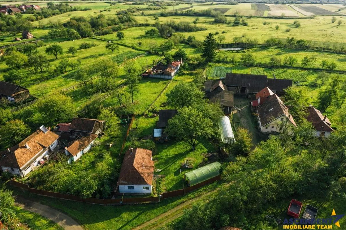 Gospodarie cu anexa, pivnita, iaz cu pesti si 2.280 mp de teren fertil Lemnia, Covasna - foto 5
