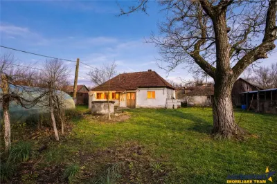 Gospodarie cu anexa, pivnita, iaz cu pesti si 2.280 mp de teren fertil Lemnia, Covasna - foto 7