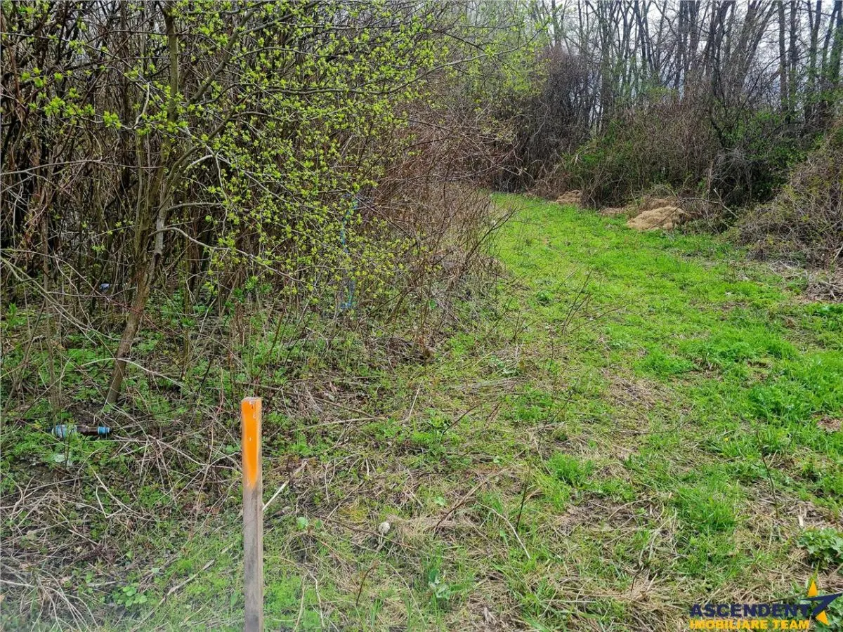 1.700mp intravilan,acces usor,intre case,ideal 2 locuinte/investitie,Lunca Calniculu - foto 6