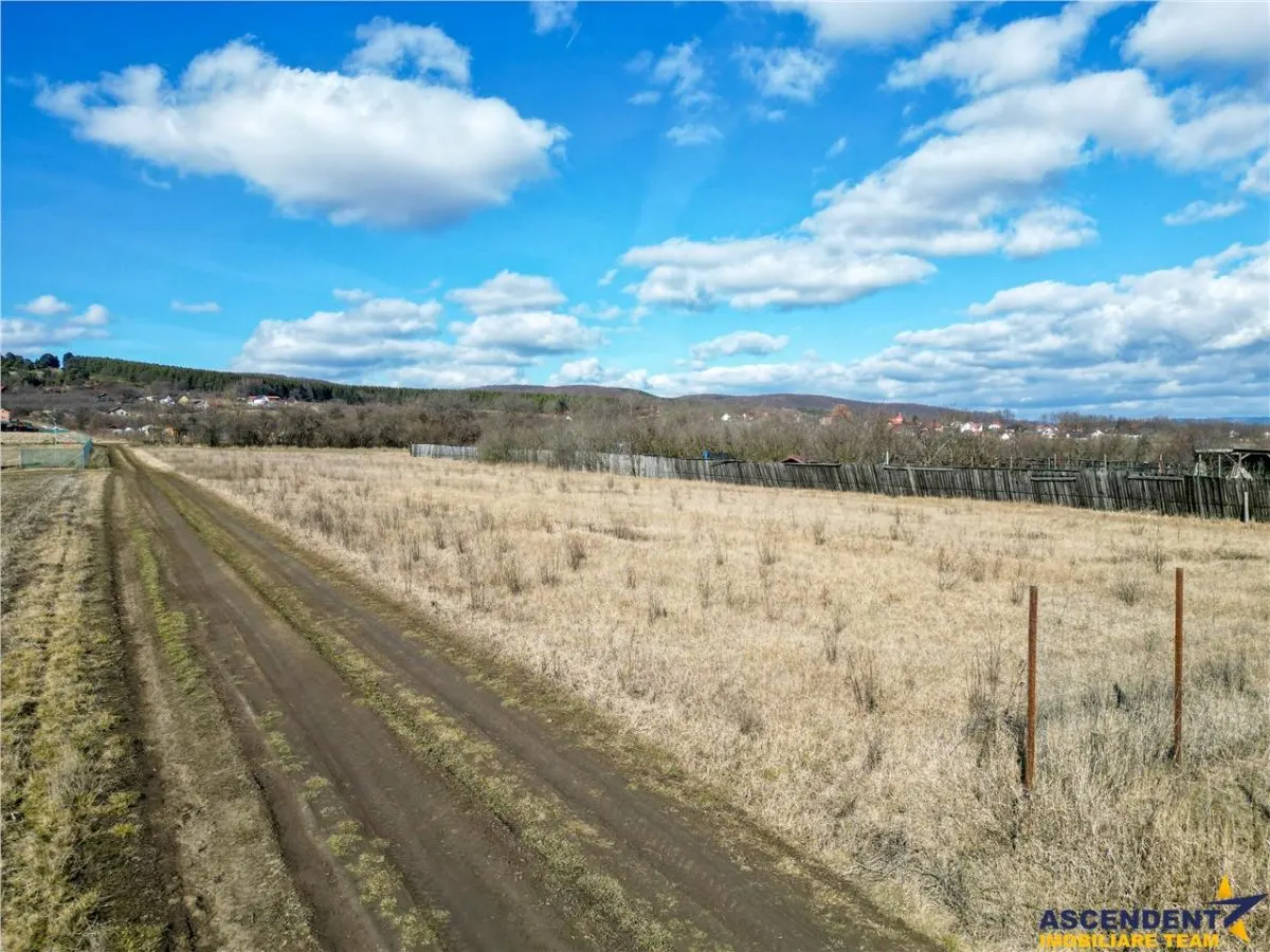 FILM! Liniste si aer curat in proximitatea Municipiului Sfantu Gheorghe - foto 1