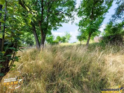 Asezare munteneasca: casa din bustean si sura zidita, Arcus, Covasna - foto 10