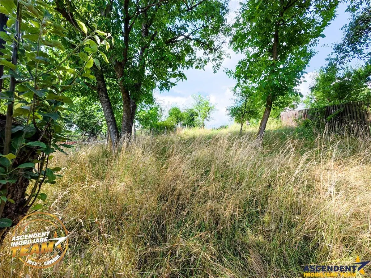 Asezare munteneasca: casa din bustean si sura zidita, Arcus, Covasna - foto 10