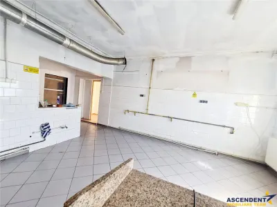 Spatiu pretabil activitati:birouri/ateliere copii/etc. acces stradal,curte proprie, Racadau - foto 4