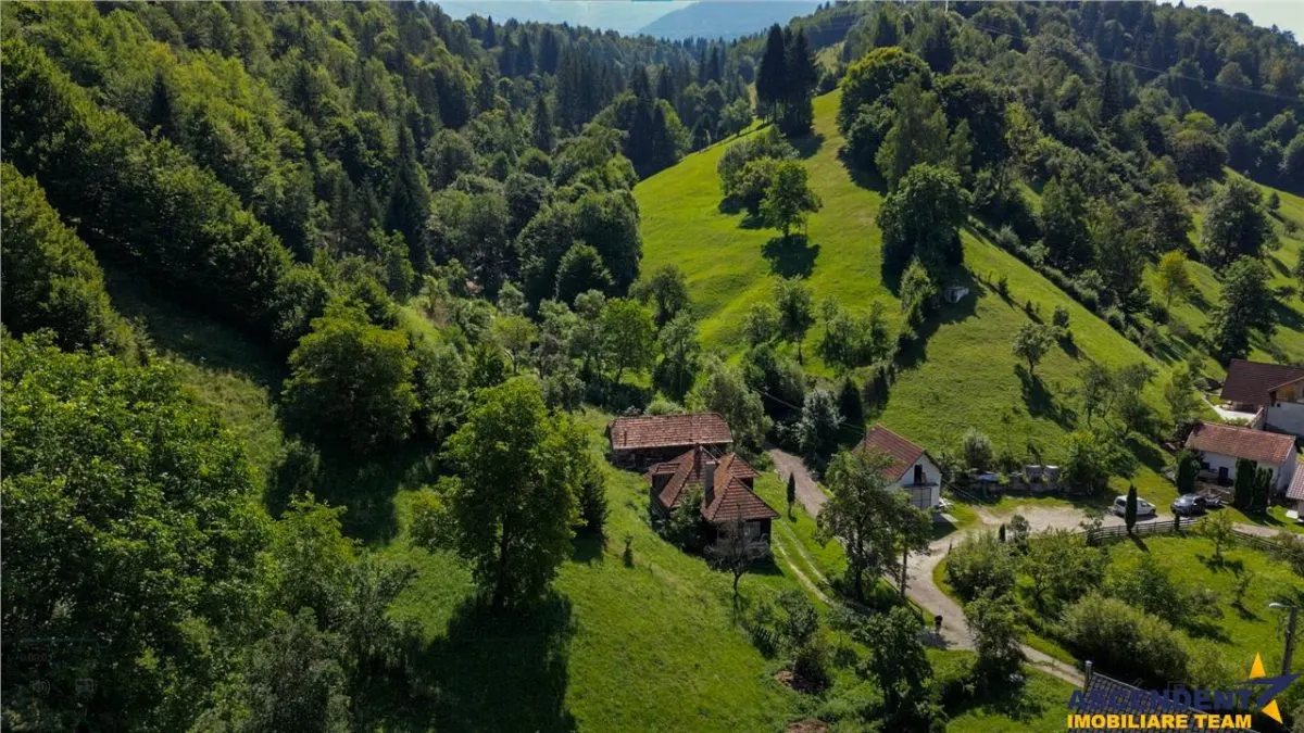 FILM! Proprietate autentica, Bran-Simon, 4.300 mp teren, casa traditionala + anexe - foto 12