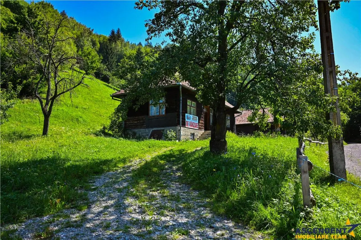 FILM! Proprietate autentica, Bran-Simon, 4.300 mp teren, casa traditionala + anexe - foto 13