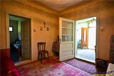 FILM! Proprietate autentica, Bran-Simon, 4.300 mp teren, casa traditionala + anexe - foto 14