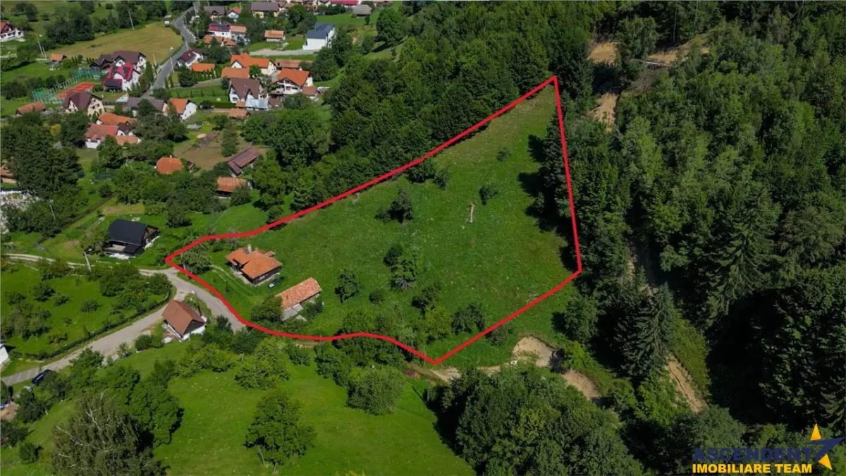 FILM! Proprietate autentica, Bran-Simon, 4.300 mp teren, casa traditionala + anexe - foto 15