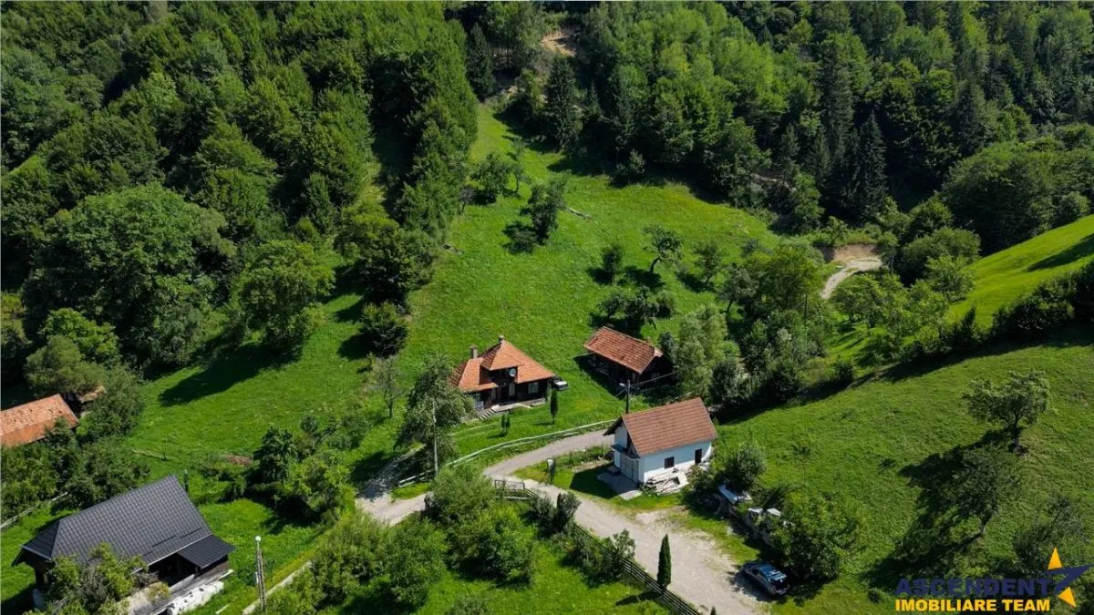 FILM! Proprietate autentica, Bran-Simon, 4.300 mp teren, casa traditionala + anexe - foto 16