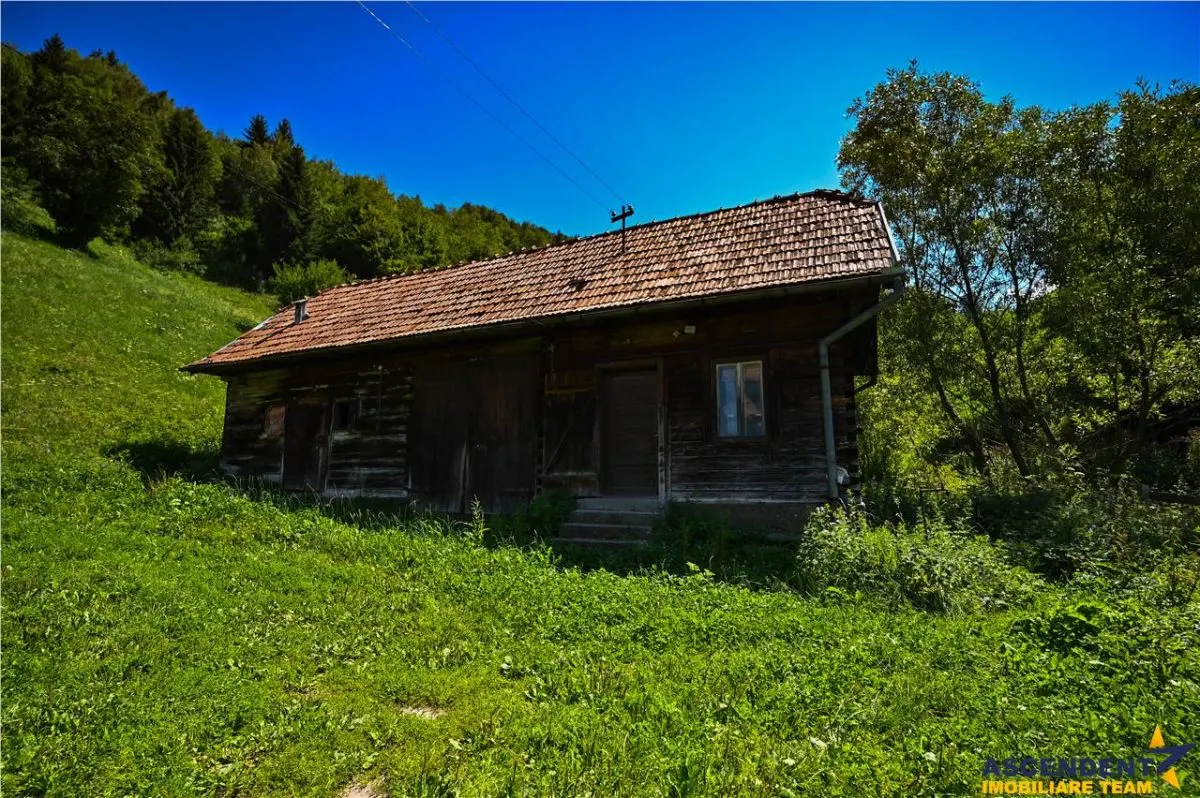 FILM! Proprietate autentica, Bran-Simon, 4.300 mp teren, casa traditionala + anexe - foto 20