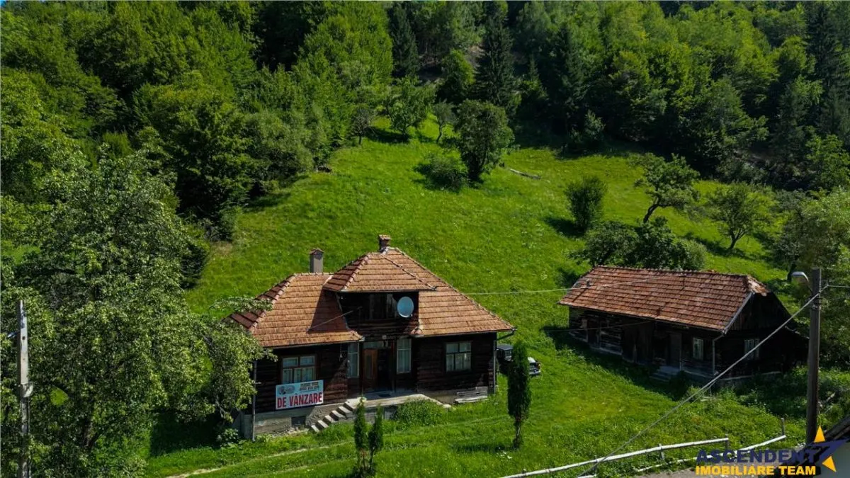 FILM! Proprietate autentica, Bran-Simon, 4.300 mp teren, casa traditionala + anexe - foto 21
