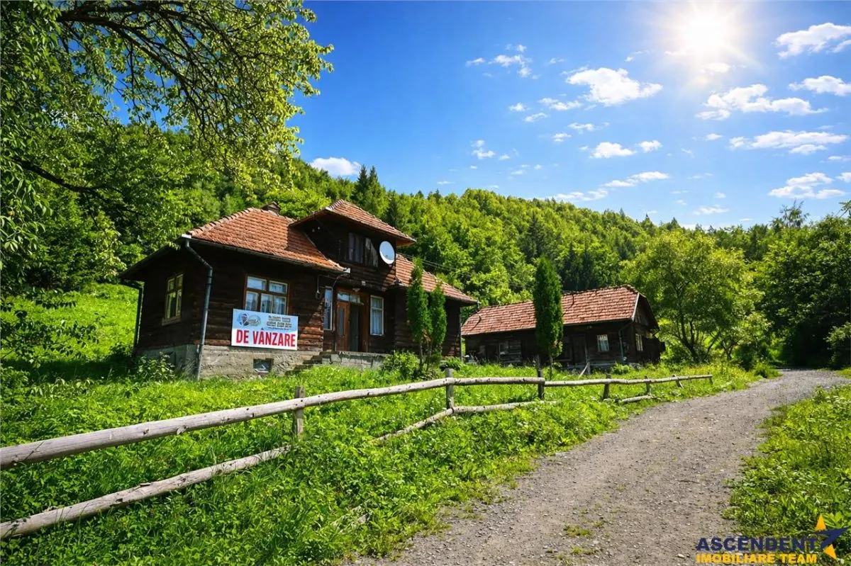 FILM! Proprietate autentica, Bran-Simon, 4.300 mp teren, casa traditionala + anexe - foto 4