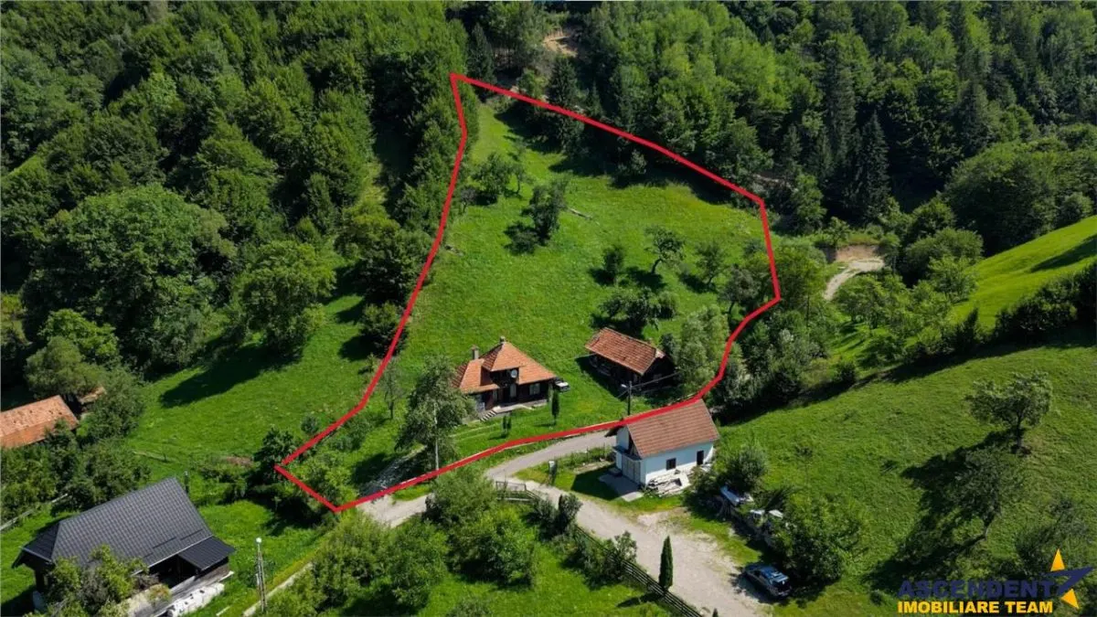 FILM! Proprietate autentica, Bran-Simon, 4.300 mp teren, casa traditionala + anexe - foto 6