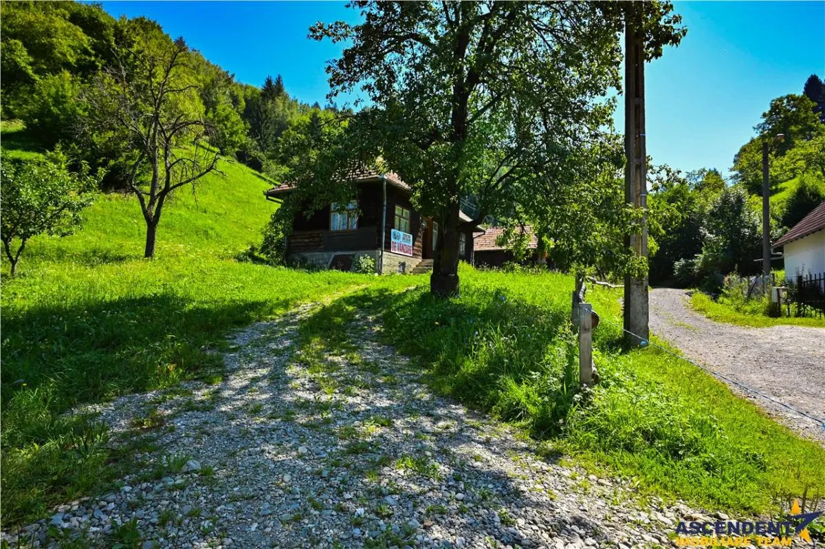 FILM! Proprietate autentica, Bran-Simon, 4.300 mp teren, casa traditionala + anexe - foto 8