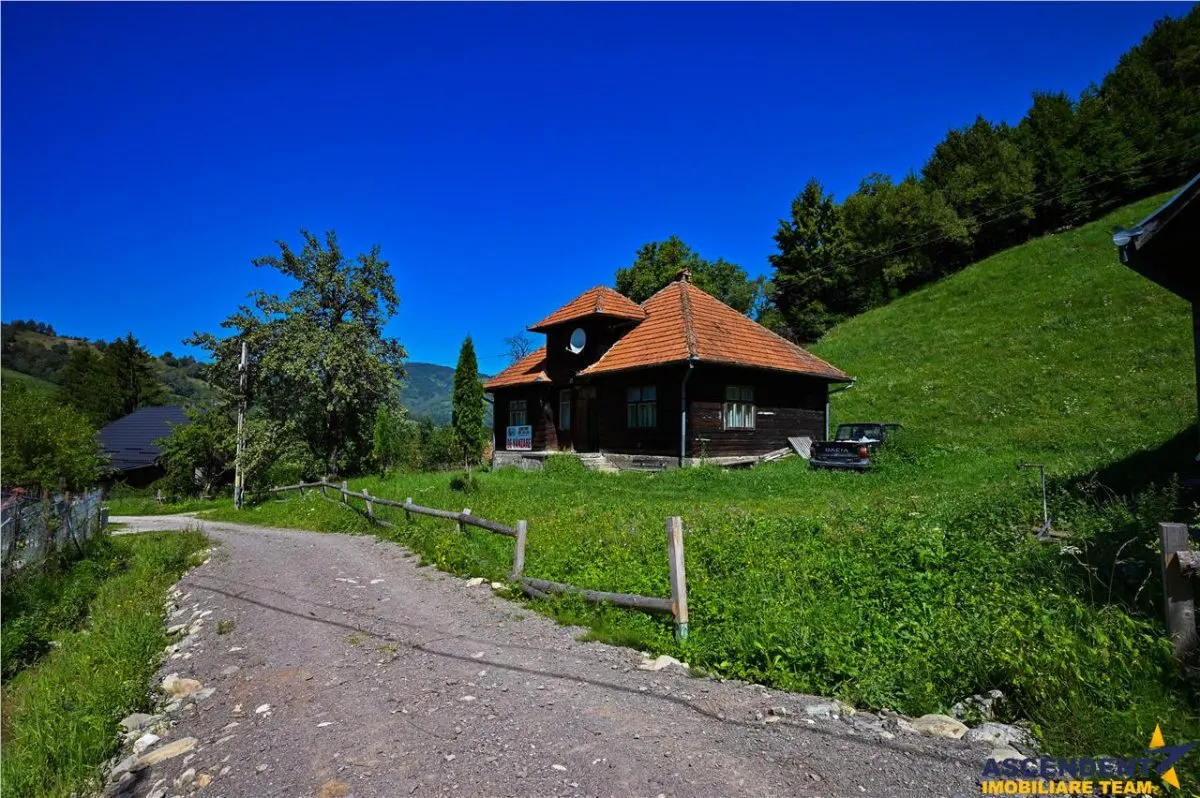 FILM! Proprietate autentica, Bran-Simon, 4.300 mp teren, casa traditionala + anexe - foto 10