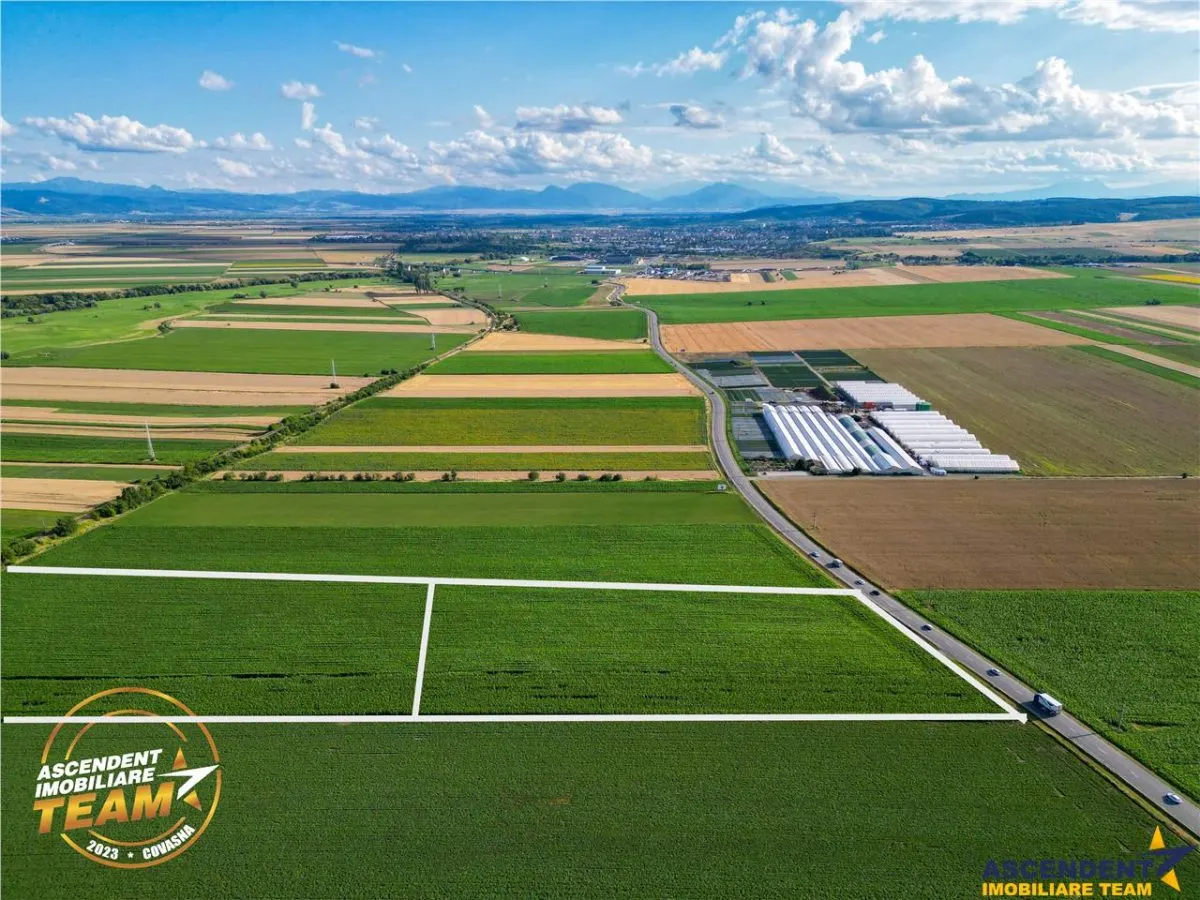 FILM! 30.200 mp teren intravilan,recomandat: investitie/exploatare agricola,Valea Crisului - foto 1