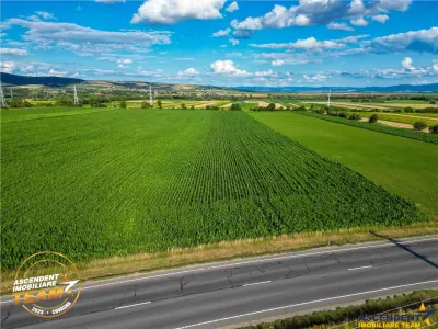 FILM! 30.200 mp teren intravilan,recomandat: investitie/exploatare agricola,Valea Crisului - foto 2