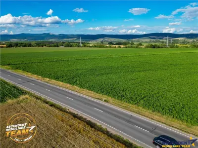 FILM! 30.200 mp teren intravilan,recomandat: investitie/exploatare agricola,Valea Crisului - foto 3