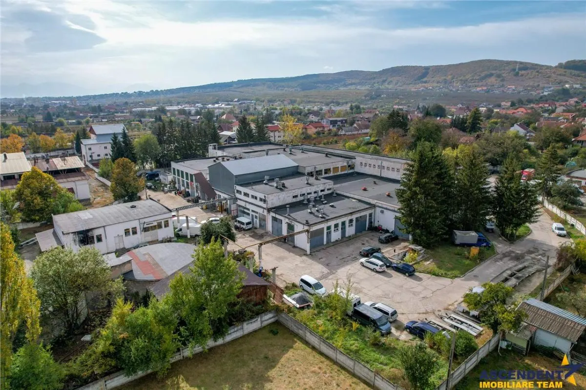 FILM! Ansamblu: Spatii comerciale, birouri, productie si similare, Sfantu Gheorghe, Covasna - foto 1