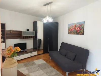 Garsoniera deschisa si la regim hotelier, priveliste frumoasa, pet friendly, loc parcare, Schei,Brasov - foto 8