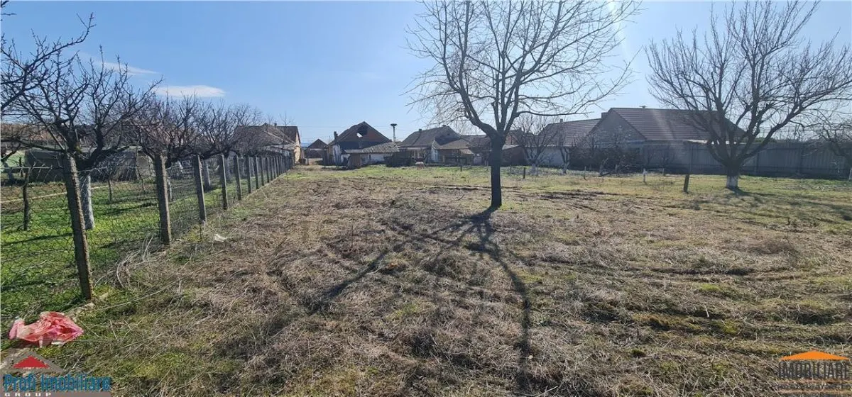 Teren 1270mp cu Casa in Santana, necesita amenajare/demolare - foto 8