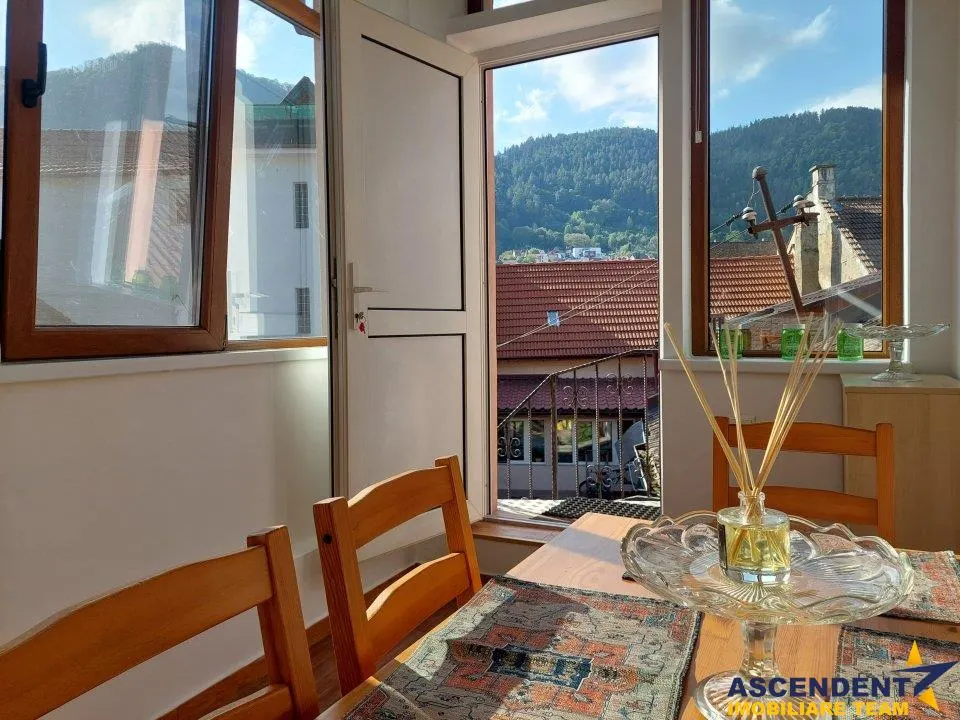 Garsoniera, priveliste frumoasa, pet friendly, loc parcare, Schei,Brasov - foto 5