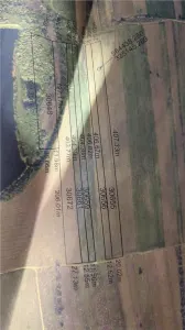 Ocazie !!3 euro mp,Teren Intravilan ieftin ,15 km distanta de Bucuresti,Mihai Voda - Mihai Voda