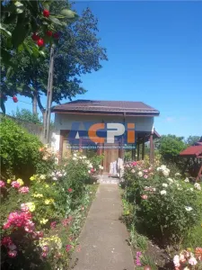 Bacau ,  Vila, la 5 minute de Centrul Orasului - foto 12
