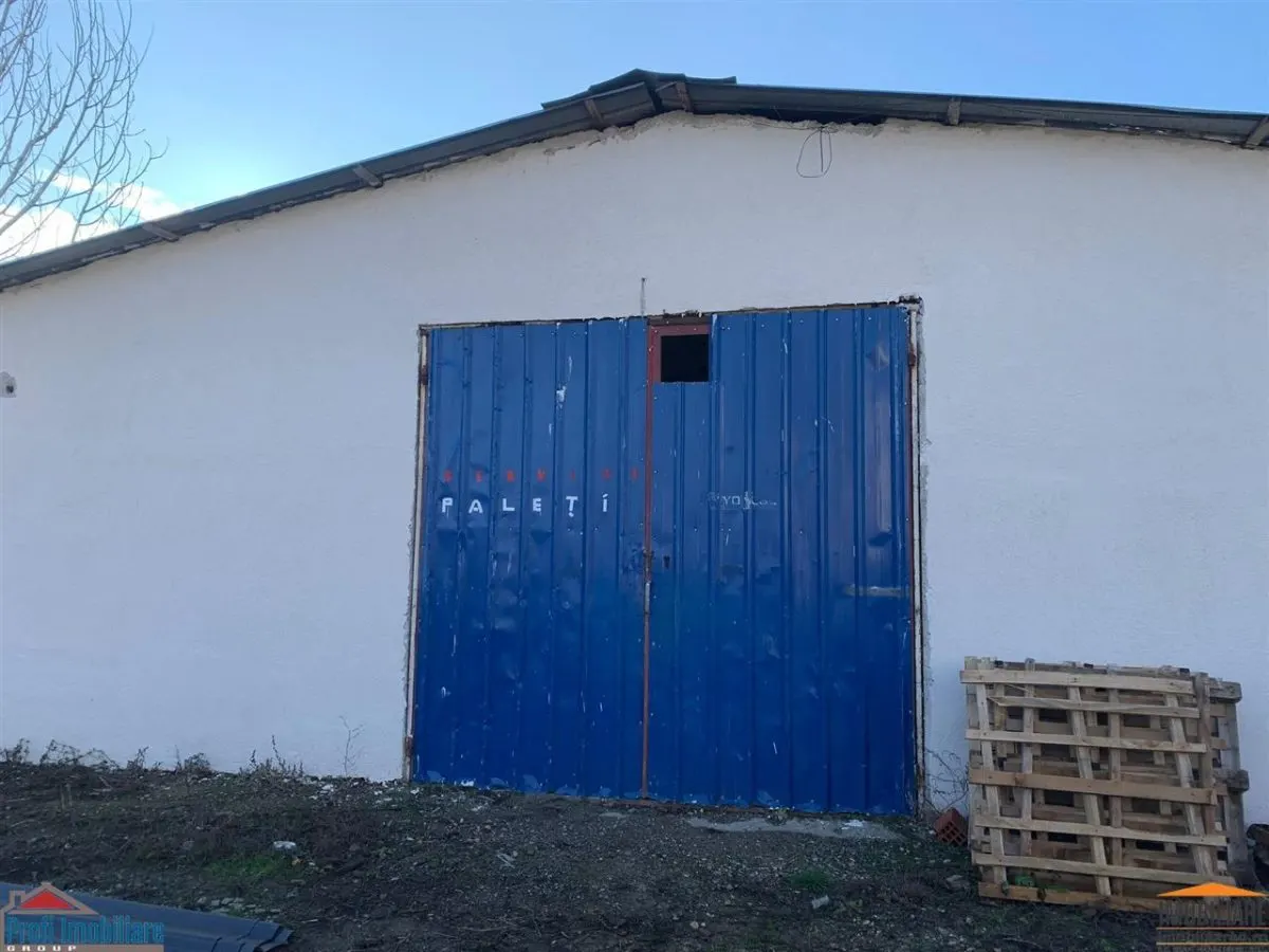 Hale pentru inchiriere aproape de Centura Arad si Autostrada A1 - foto 20