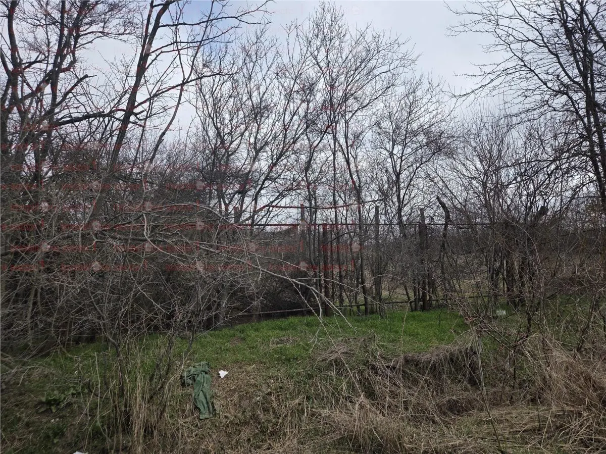 Teren intravilan cu gaze la strada Bujoreanca Dambovita S=9658mp D=49mp - foto 1