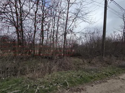 Teren intravilan cu gaze la strada Bujoreanca Dambovita S=9658mp D=49mp - foto 4