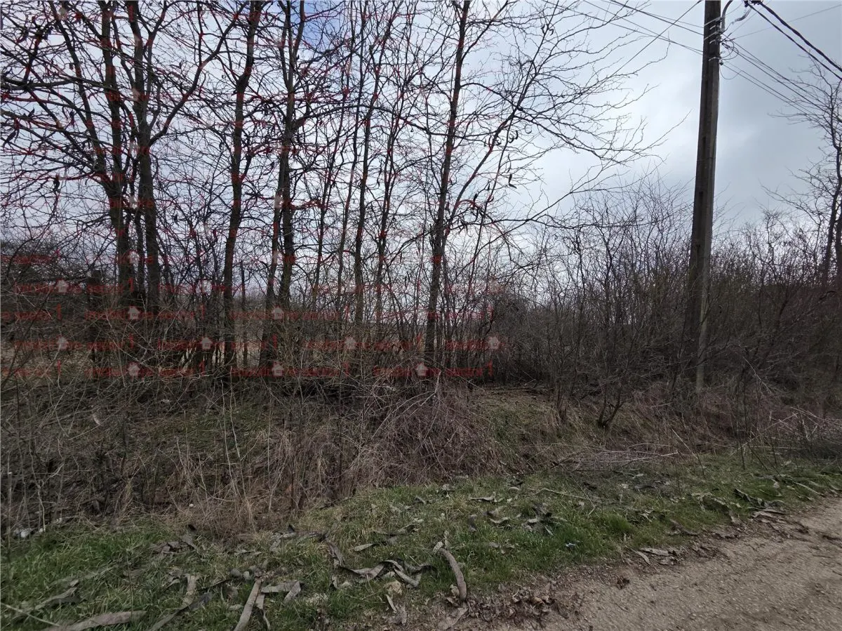 Teren intravilan cu gaze la strada Bujoreanca Dambovita S=9658mp D=49mp - foto 4