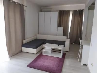Cartierul Francez Nordului Aviatiei Parcul Herastrau 2 camere elegant spatios modern - foto 2