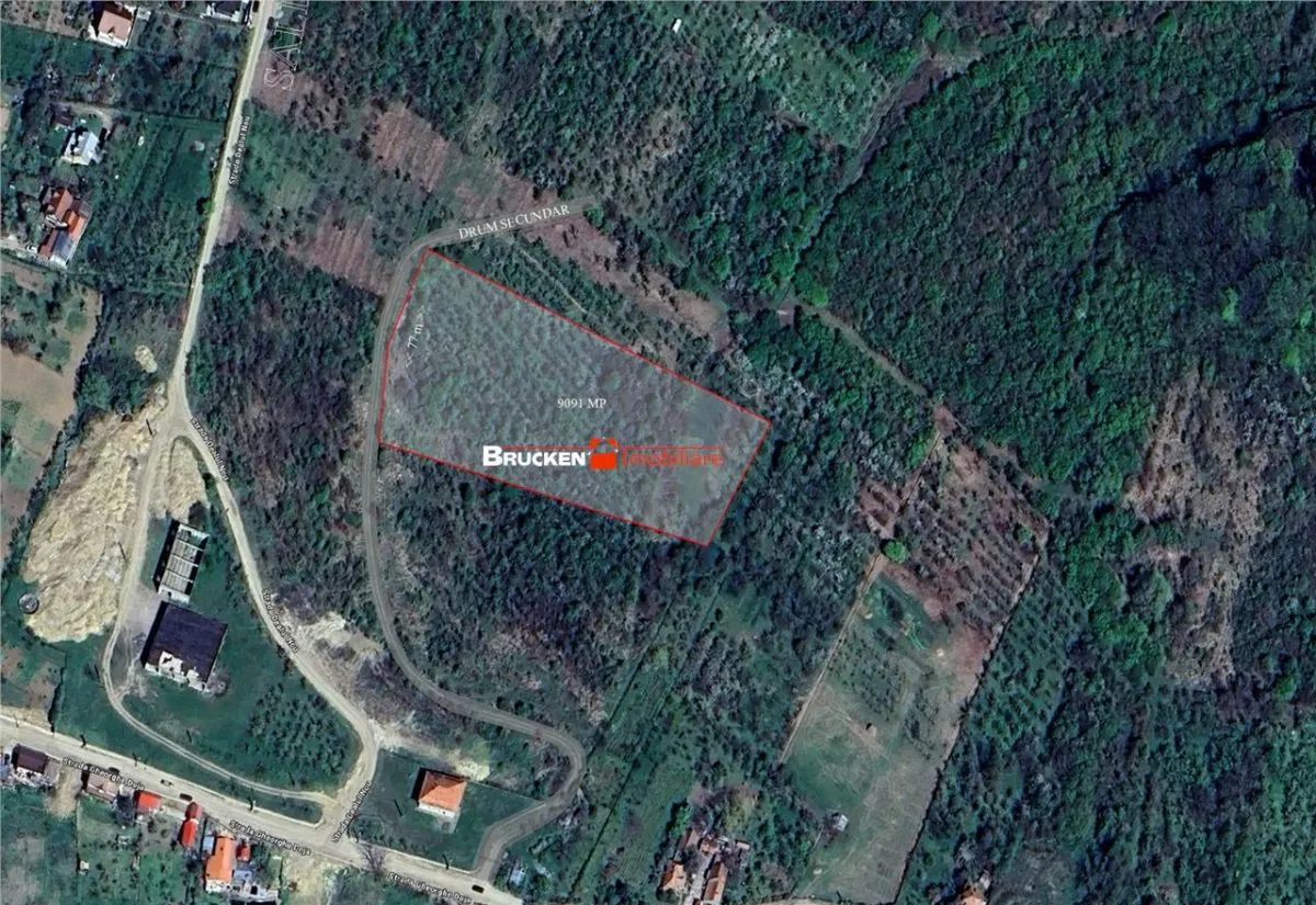 Teren intravilan de vanzare – 9.091 mp | Front 77 ml | Acces din Gh. Doja - foto 4