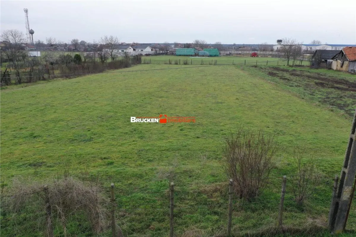 Teren intravilan de 2.623 mp in Les – la 20 min de Oradea - foto 1