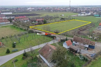 Teren intravilan de 2.623 mp in Les – la 20 min de Oradea - foto 2