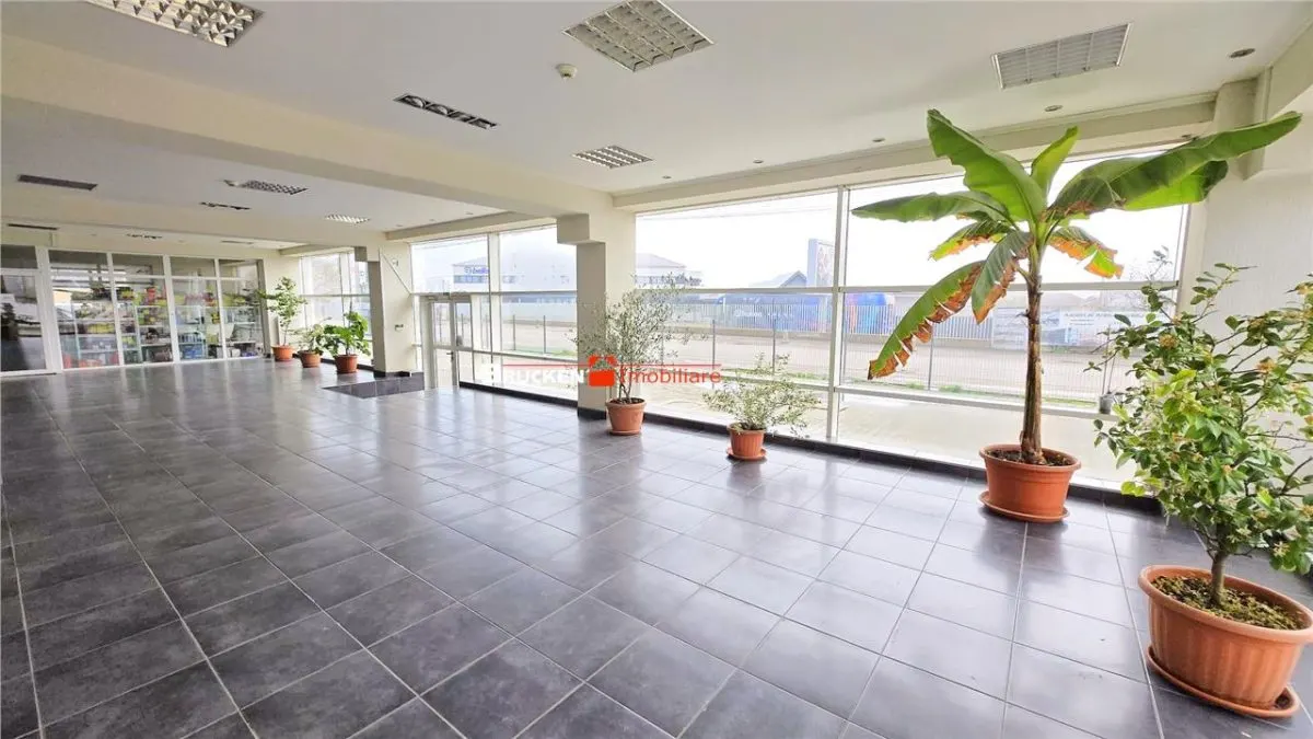 Showroom cu hala si spatiu locativ – Marghita, Bihor - foto 3