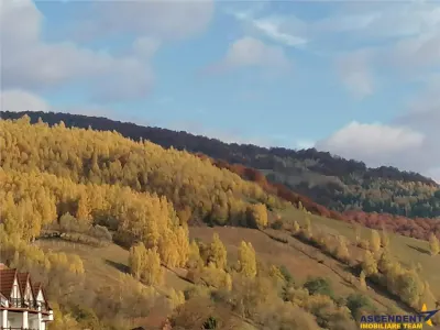 Marginita de apa curgatoare si pe incantare montana, rezidential/ pensiune, Moieciu, Brasov - foto 14
