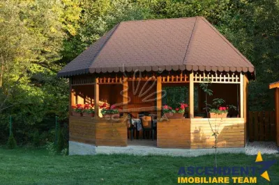 Marginita de apa curgatoare si pe incantare montana, rezidential/ pensiune, Moieciu, Brasov - foto 5