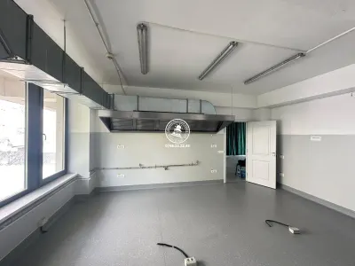 Spatiu comercial 195 mp de inchiriat, Valea Lupului - foto 11
