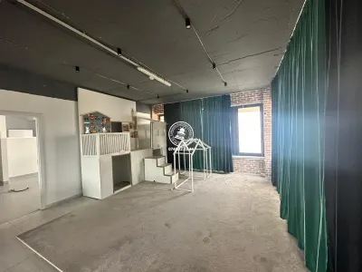 Spatiu comercial 195 mp de inchiriat, Valea Lupului - foto 5
