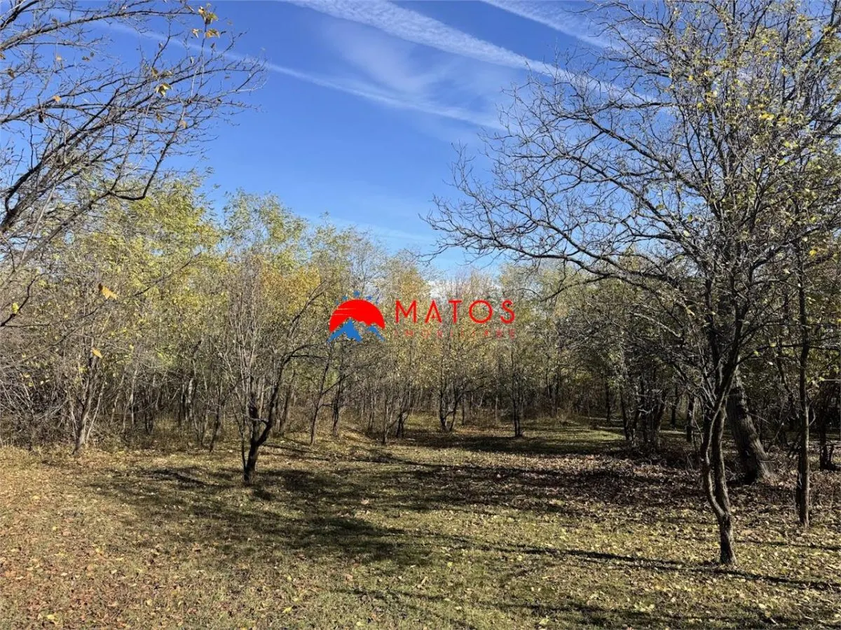 Teren intravilan 6.842 mp de vanzare in Poiana Campina, vedere placuta - foto 2