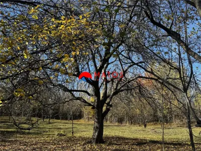 Teren intravilan 6.842 mp de vanzare in Poiana Campina, vedere placuta - foto 11