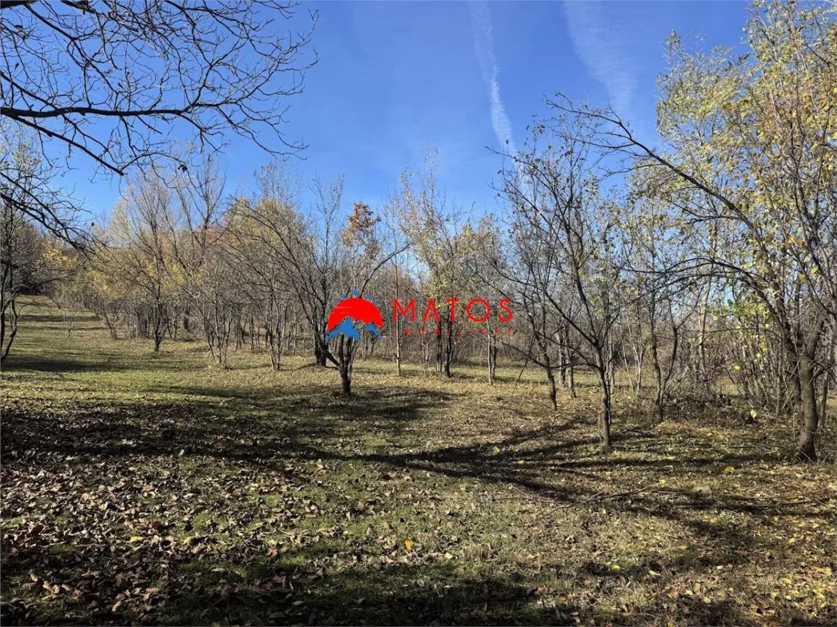 Teren intravilan 6.842 mp de vanzare in Poiana Campina, vedere placuta - foto 3